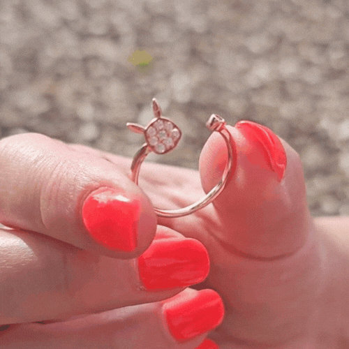 Poké Inspired Rings