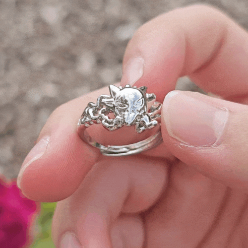 Poké Inspired Rings