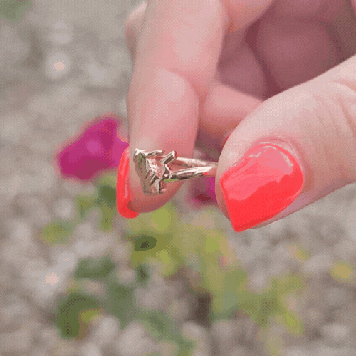 Poké Inspired Rings