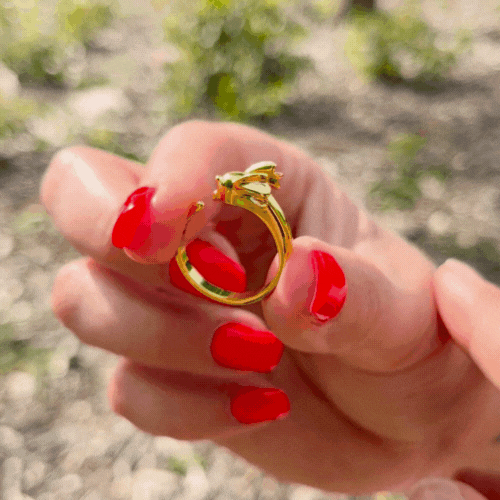 Poké Inspired Rings