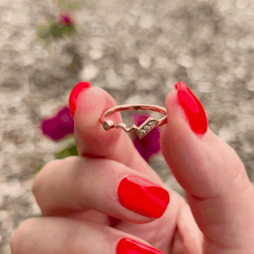 Poké Inspired Rings